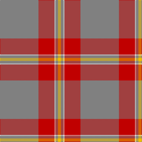 N/130 R54 LN4 N8 Y/10 tartan Tartan detail