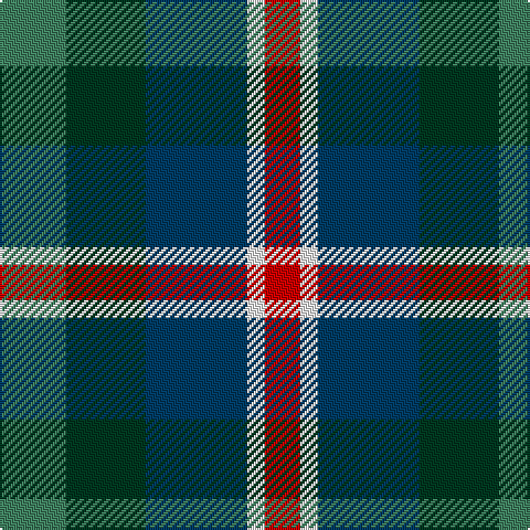 G/30 DG36 DB46 W8 R/16 tartan Tartan detail