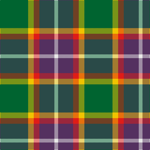 G/90 Y18 R18 N48 LN/12 tartan Tartan detail