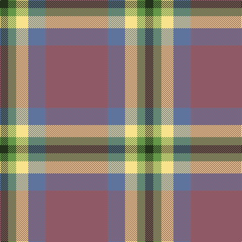 K/16 LG16 LY24 B34 LT/124 tartan Tartan detail