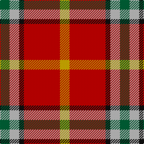 G/16 N16 K8 R60 Y/16 tartan Tartan detail