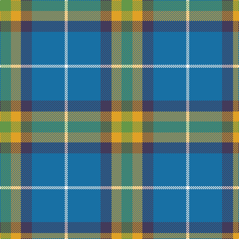 LG/22 Y20 N22 B66 W/6 tartan Tartan detail