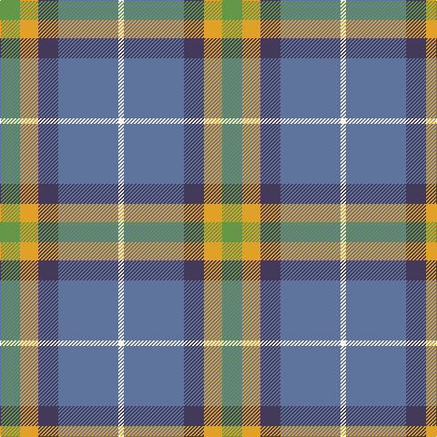 LG/22 Y20 N22 B66 W/6 tartan Tartan detail