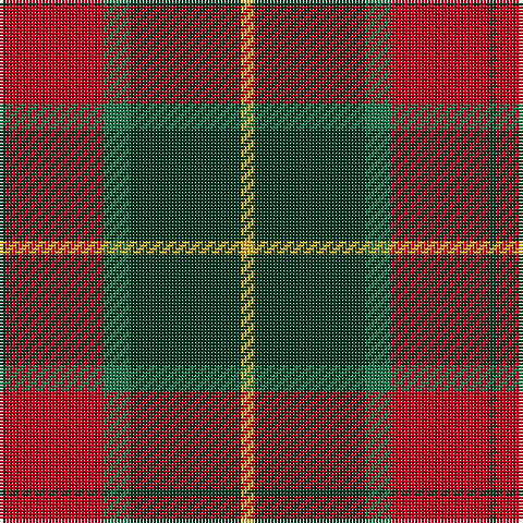 DG/2 R30 G8 DG34 Y/4 tartan Tartan detail