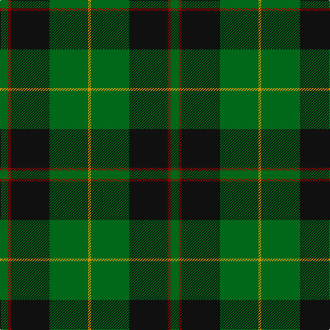 DY/4 G56 K56 DR4 G/12 tartan Tartan detail
