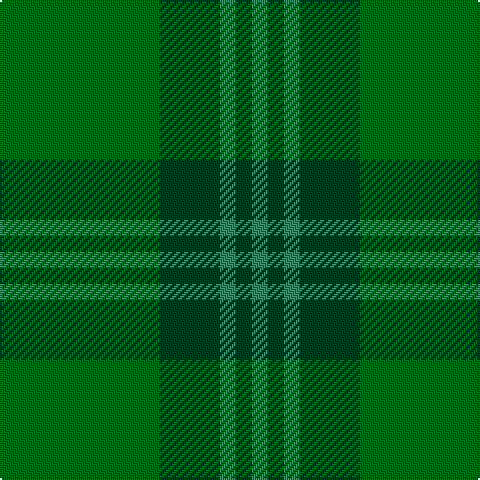 G/8 DG8 G8 DG30 Ga/80 tartan Tartan detail