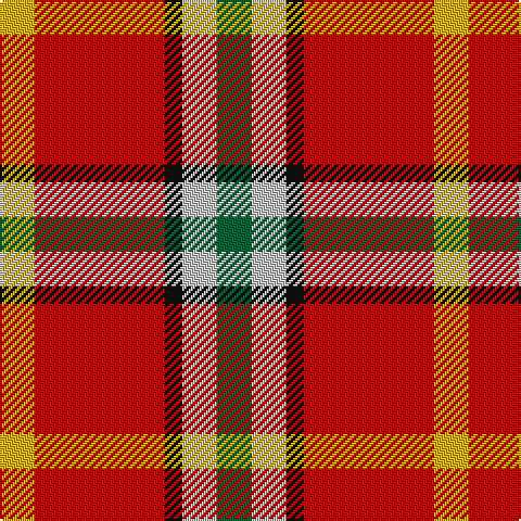 Y/16 R60 K8 N16 G/16 tartan Tartan detail
