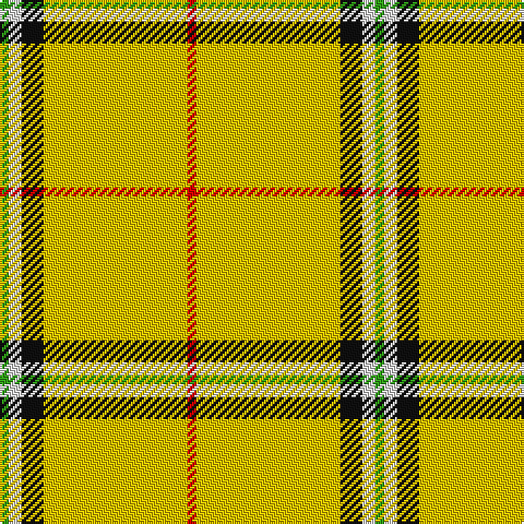 G/4 LN6 K10 Y66 R/4 tartan Tartan detail