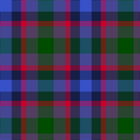 B/40 DB32 R18 N40 G/54 tartan Tartan detail