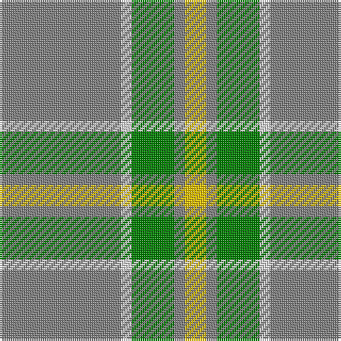 N/57 LN5 G20 N5 Y/10 tartan Tartan detail