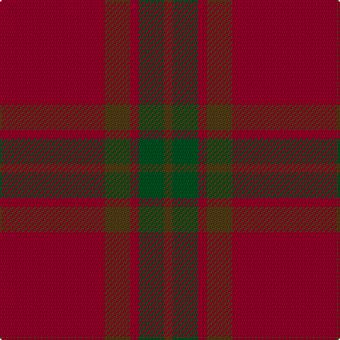 DR/74 T18 DR6 G18 T/6 tartan Tartan detail