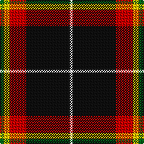 G/6 Y10 R28 K72 LN/6 tartan Tartan detail