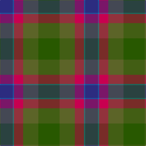DB/42 B4 R30 G50 Ga/70 tartan Tartan detail