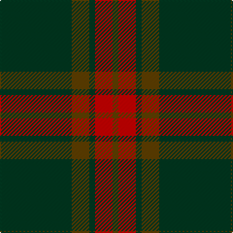 DG/74 T18 DG6 R18 T/6 tartan Tartan detail
