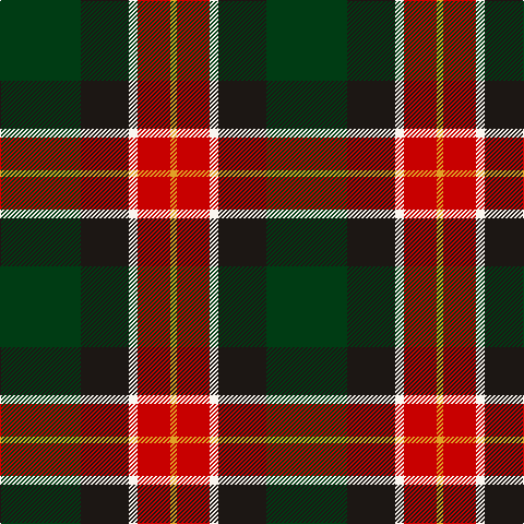 DG/74 K44 W8 R30 Y/6 tartan Tartan detail