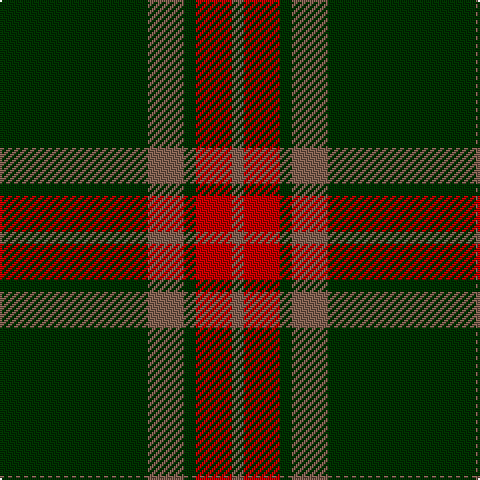 DG/74 LT18 DG6 R18 LT/6 tartan Tartan detail