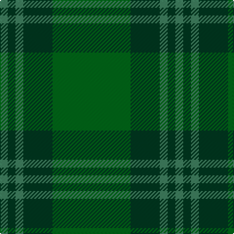 G/8 DG8 G8 DG30 Ga/80 tartan Tartan detail