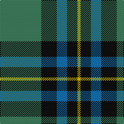 G/80 K30 B20 K20 Y/6 tartan Tartan detail