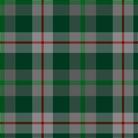 G/16 N38 DG58 Na32 DR/8 tartan Tartan detail
