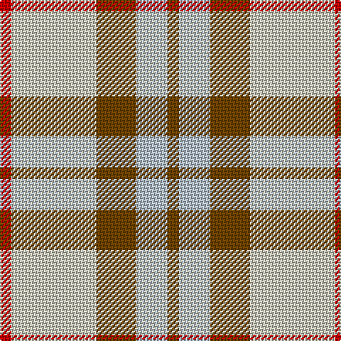 R/8 N60 T28 Na22 T/8 tartan Tartan detail