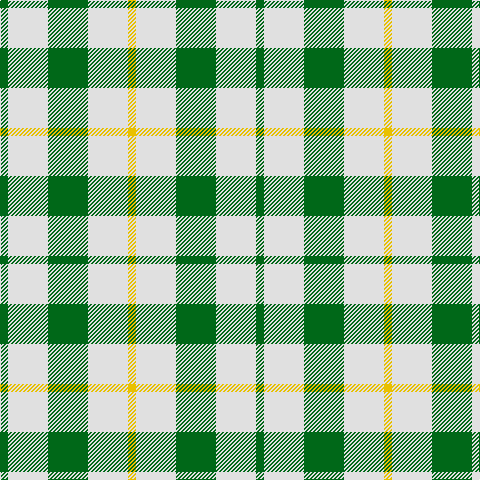 G/8 LNa40 Ga40 LN40 Y/8 tartan Tartan detail