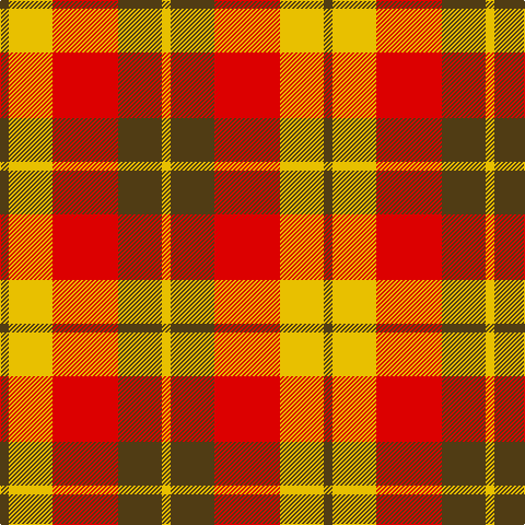 T/8 Y40 R60 T40 Y/8 tartan Tartan detail