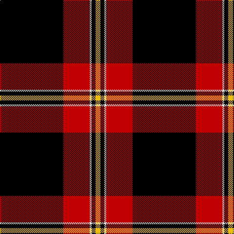 K/130 R54 LN4 K8 Y/10 tartan Tartan detail