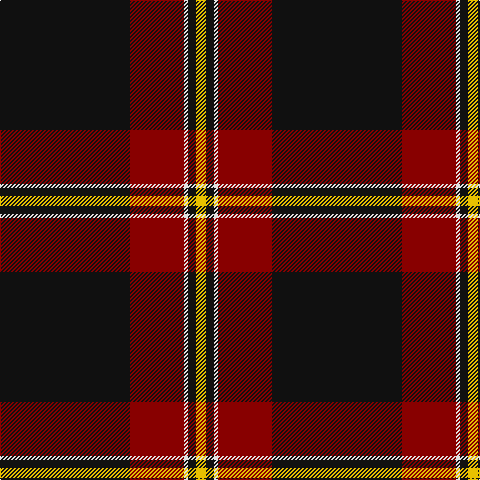 K/130 DR54 LN4 K8 Y/10 tartan Tartan detail