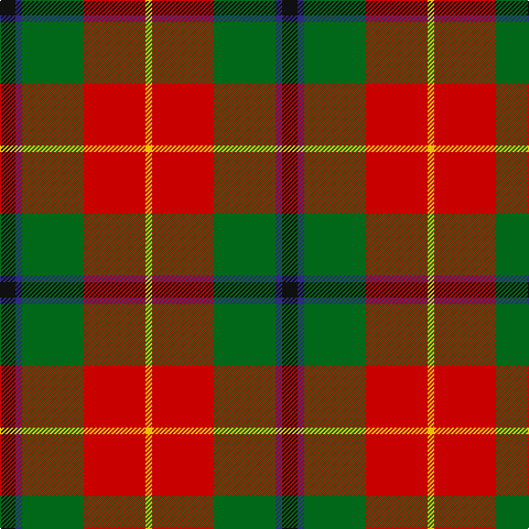 K/14 DB6 G56 R56 Y/6 tartan Tartan detail
