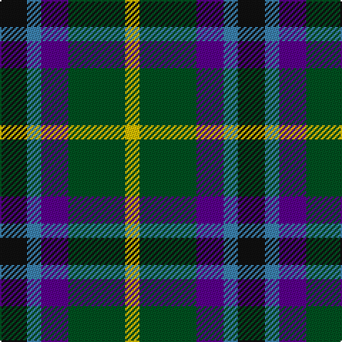 K/19 B10 P19 G40 Y/10 tartan Tartan detail