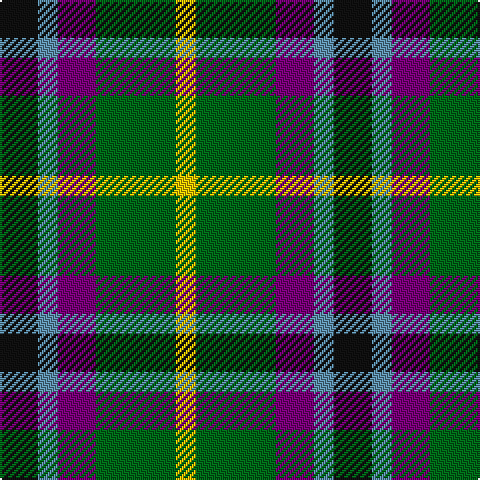 K/19 B10 P19 G40 Y/10 tartan Tartan detail
