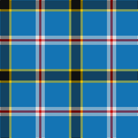 K/32 Y8 Ba84 LN12 R/8 tartan Tartan detail