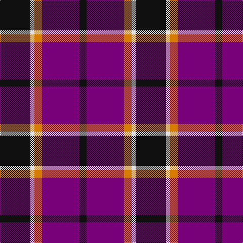 K/60 LN8 O15 P74 K/14 tartan Tartan detail