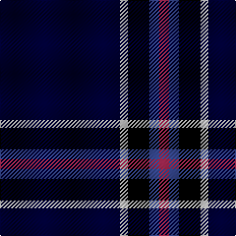 DB/122 LN8 K22 B10 DR/10 tartan Tartan detail