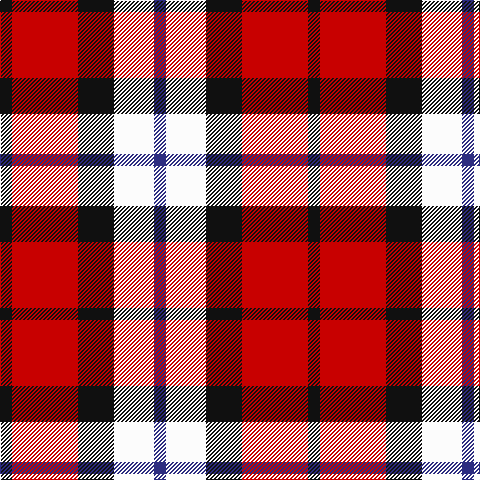 K/12 R66 K36 W40 DB/12 tartan Tartan detail