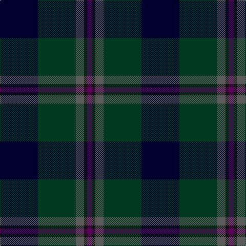 DB/74 DG74 N16 K6 P/10 tartan Tartan detail