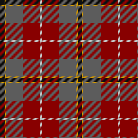 K/16 DY4 N60 DR60 Na/6 tartan Tartan detail