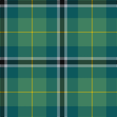 K/18 N12 G44 Ga56 Y/4 tartan Tartan detail