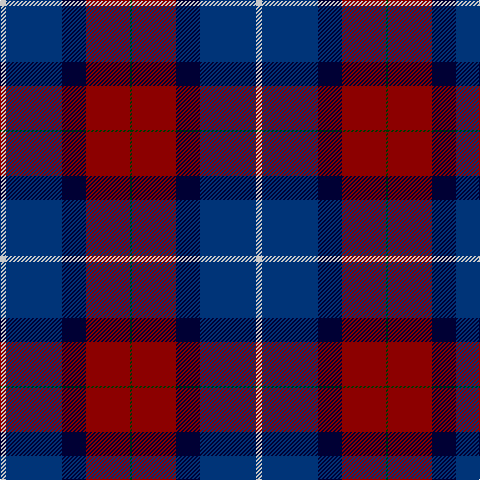 G/2 DR44 DB24 DBa56 N/6 tartan Tartan detail