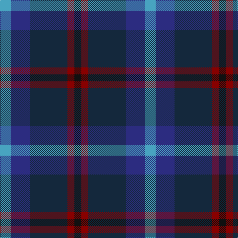 B/22 DB38 DN76 DR14 K/14 tartan Tartan detail