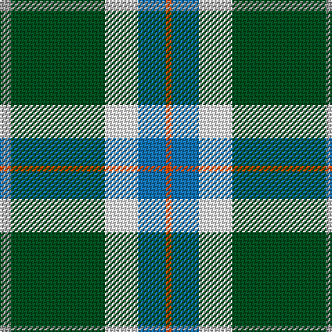 N/8 G68 W24 B20 R/4 tartan Tartan detail
