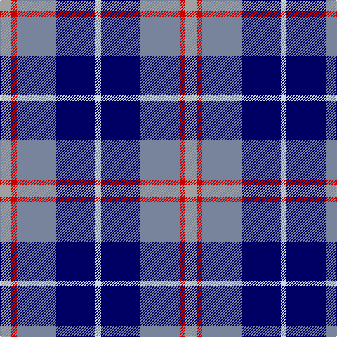 LN/8 DB56 B56 R8 N/16 tartan Tartan detail