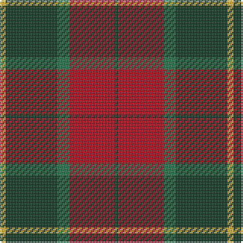 Y/4 DG34 G8 R30 DG/2 tartan Tartan detail