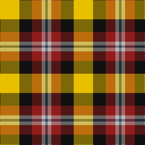 Y/64 K42 DRa32 N12 Na/8 tartan Tartan detail