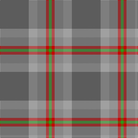 G/10 R10 Nb30 Na30 N/100 tartan Tartan detail