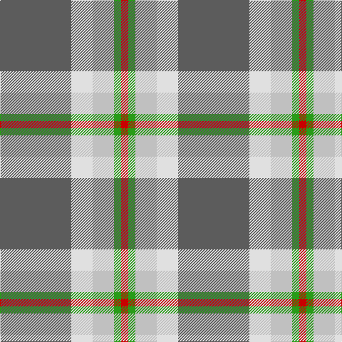 N/100 LN30 Na30 G10 R/10 tartan Tartan detail