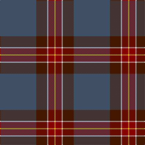 N/120 DR36 LN4 DRa20 Y/4 tartan Tartan detail