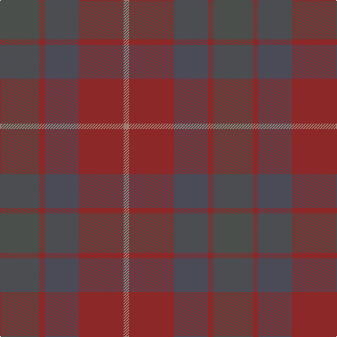 LT/8 DR64 N48 DR8 Na/56 tartan Tartan detail
