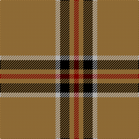 LT/96 N8 K16 LT8 DR/8 tartan Tartan detail
