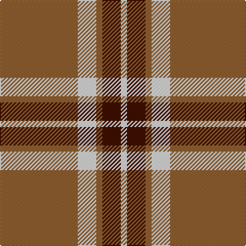 LN/6 DR18 LT6 LN18 LT/76 tartan Tartan detail